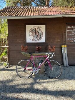 Olpran Retro Silniční Kolo