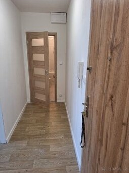 Světlý byt 2+1 v OV po rekonstrukci, 45 m², Dubina