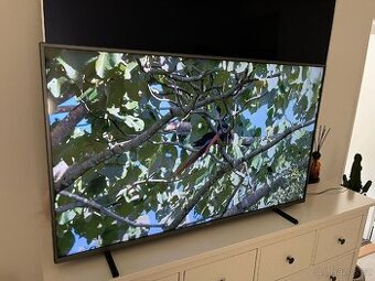 4K 127cm Philips TV s AMBILIGHT