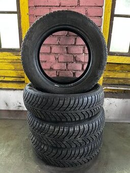 Nexen NGblue Celoroční