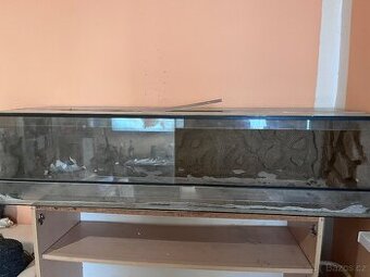 terarium - 1