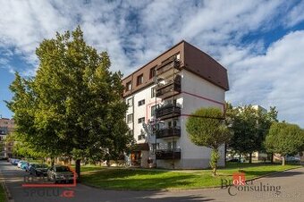 Pronájem, byty/2+1, 41 m2, náměstí Naděje 775, 56601 Vysoké