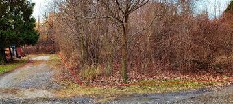 Pronájem zahrádka | Zahrada 582 m2, Orlová Město