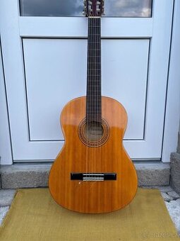 Klasická akustická kytara Serena SG-0 - sleva 