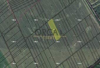 0,2 ha pozemku v k.ú. Kvasice