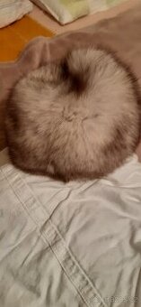 Čepice - stříbrná liška