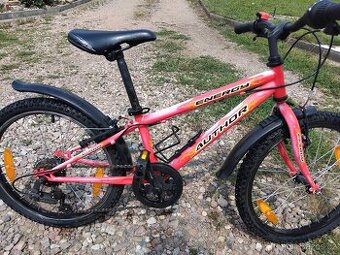 Jízdní kl author 20