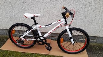 Alu dětské kolo Superior Paint 20 "