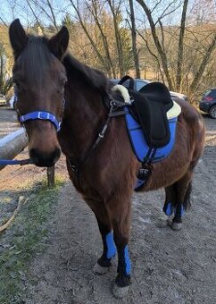 Poprsák / Poprsník - 1