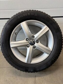 Originální kola Borbet VW Passat R16 ZIMNÍ č.F138