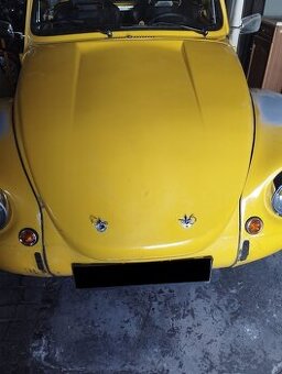 VW Brouk