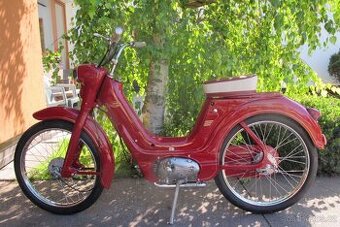 JAWETTA 551