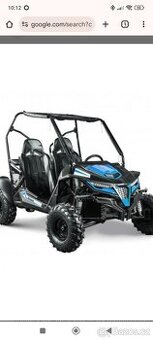 Buggy