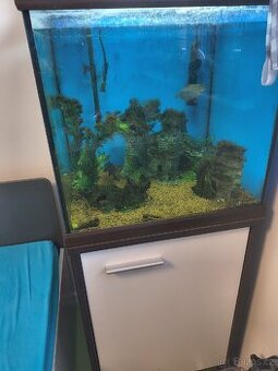 Akvárium EHEIM 100l