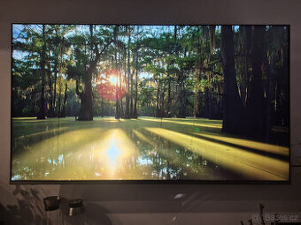 Televize Panasonic 65"