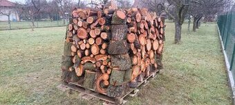 Prodám palivové dřevo