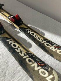 Dětské lyže 100cm Brno Znojmo ZDARMA dovoz