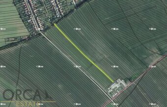 Spoluvlastnický podíl 840 m2 na pozemcích v k.ú. Prušánky - 1