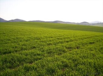 Prodej pozemku – orná půda, 24 469 m², Kamberk, okres Benešo