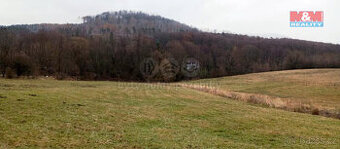 Prodej louky, 8010 m², Třebušín