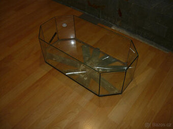 Terarium - 1