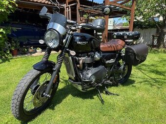 Triumph Street Scrambler 900