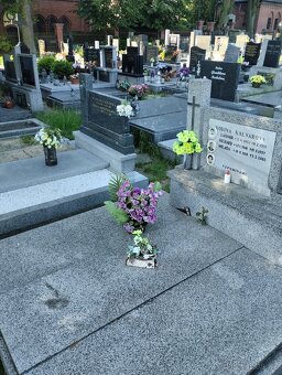 Prodám dvojhrob Ludgeřovice akce sleva . - 1