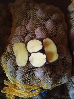 Prodám brambory na uskladnění odrůda Laura