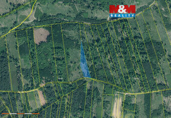 Prodej lesa, 7736 m², Jetětice