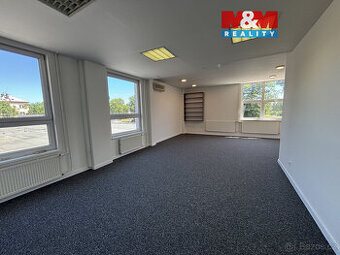 Pronájem prostoru, 240 m², Ostrava, ul. Trocnovská