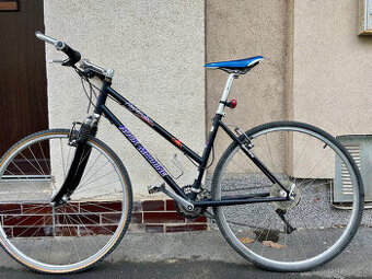 Rock Machine Highlander