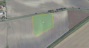 Zemědělská půda, prodej, Kouty, Nymburk