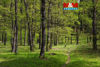 Prodej lesa, 2146 m², Nýdek - 1