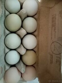 Vajíčka vajíčka vejce
