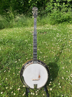 Prodám pětistrunné banjo Gibson Mastertone RB-800 - 1