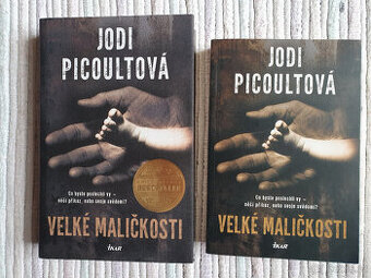 Velké maličkosti - Jodi Picoultová