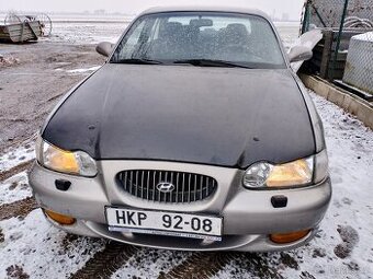 Hyundai karbon kapota