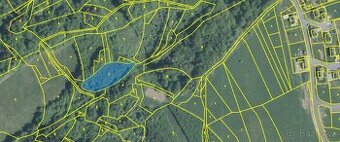 Prodám lesní pozemek v k.ú. Valašská Polanka