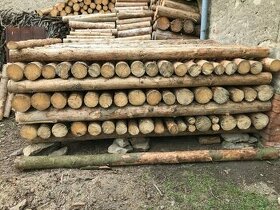 Prodám dřevěné kůly - 1