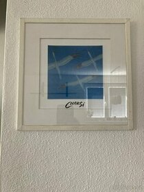 obraz české malířky Charouskové Renaty