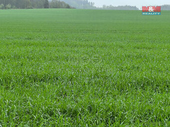 Prodej pole, 2013 m², Dívčice - 1