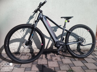 PELLS Thorr 15,5"