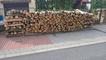 Palivové dřevo tvrdé