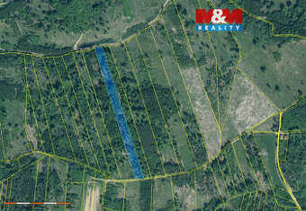 Prodej lesa, 15662 m², Jetětice