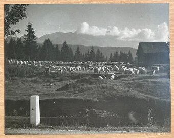 Fotografie Karola Plicky