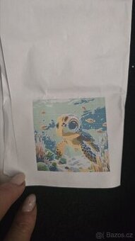 Sada na malovani  želva