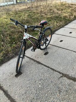 Dámské kolo Rock Machine