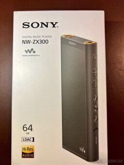 Sony NW-ZX300, Hi-Res Audio