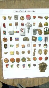 Spoločenské odznaky