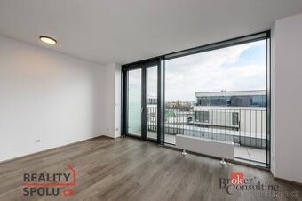 Pronájem, byty/1+kk, 44 m2, Železná 3061/10, Jižní Předměstí